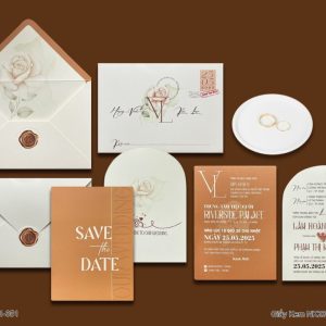 Thiệp Cưới DQ-BTN101-351