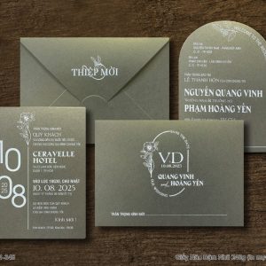 Thiệp Cưới DQ-BTN101-348