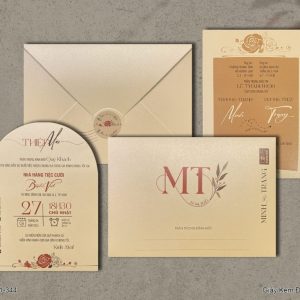 Thiệp Cưới DQ-BTN101-344