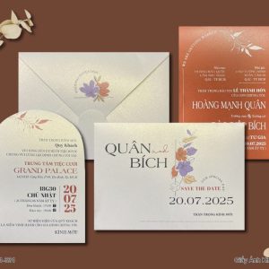 Thiệp Cưới DQ-BTN101-331