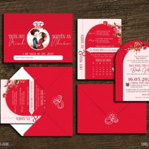 Thiệp Cưới DQ-BTN101-329