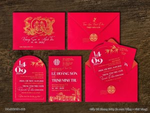 Thiệp Cưới DQ-BTN101-316