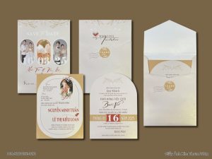 Thiệp Cưới DQ-BTD102-312