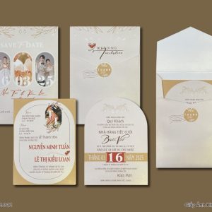 Thiệp Cưới DQ-BTD102-312