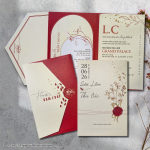 Thiệp cưới DQ-25A53 Thiệp túi Ánh kim thơm 2M