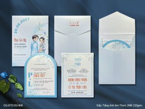 Thiệp Cưới DQ-BTD102-606
