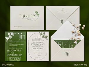 Thiệp Cưới DQ-BTN101-609