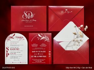 Thiệp Cưới DQ-BTN101-610
