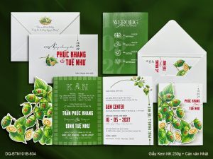 Thiệp Cưới DQ-BTN101B-634
