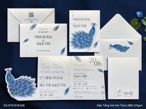 Thiệp Cưới DQ-BTN101B-636