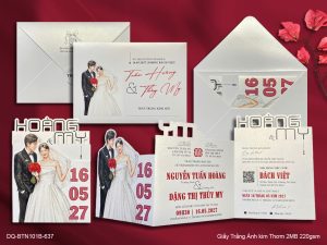 Thiệp Cưới DQ-BTN101B-637